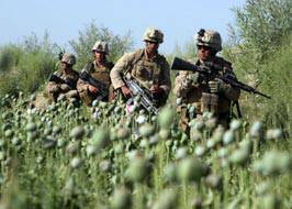 Вторжение американских войск в Афганистан было пролоббировано мировой наркомафией?
