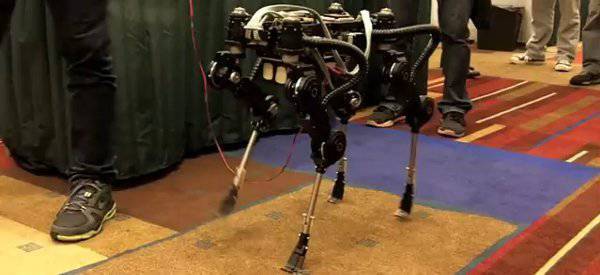 «SQ1» – корейский конкурент  четвероногого робота из Кореи