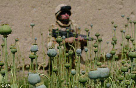 Употребление наркотиков военнослужащими США принимает массовый характер