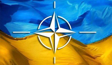 Украина в НАТО? Кому это выгодно?