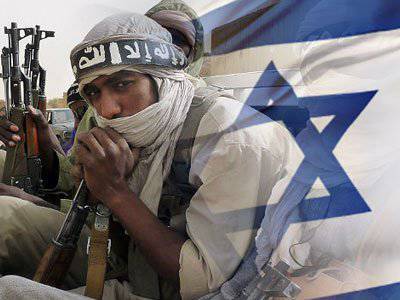 Египет готовит против Израиля армию бедуинов: Израиль сегодня