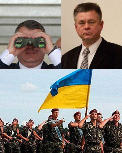 Реформа армии Украины тоже будет вестись на основе бессмертных идей Сердюкова и Ко?