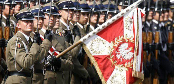 В Польше проведут реформирование армии