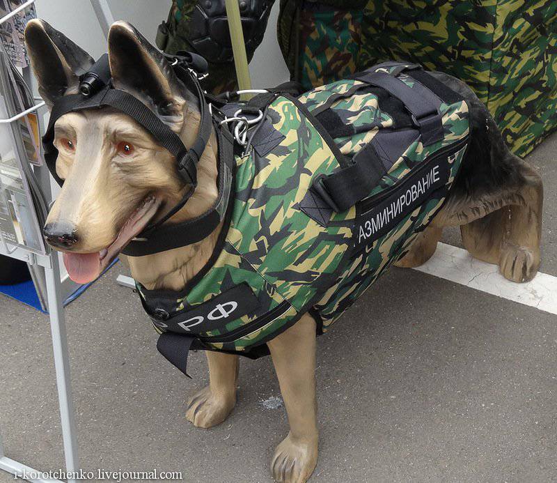 Пулезащитная экипировка для служебных собак