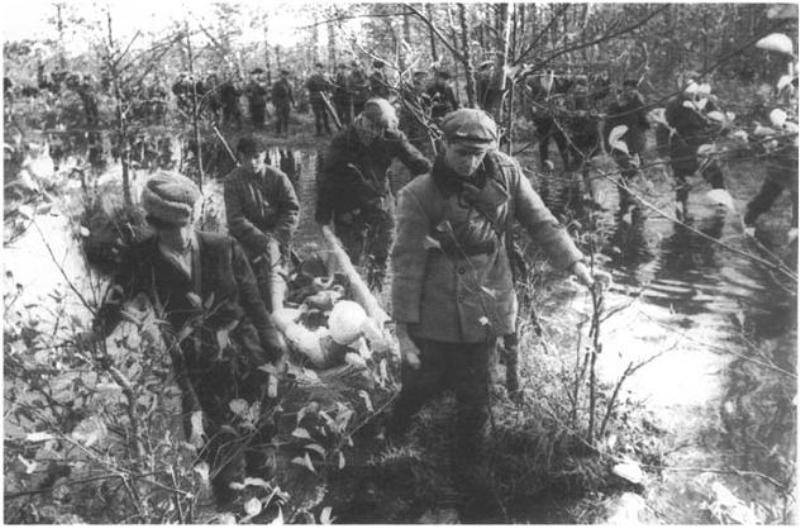 Бригада «Дяди Коли». Как в белорусских лесах партизаны бились за Сталинград