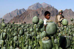 США – Афганистан: проблема наркотиков