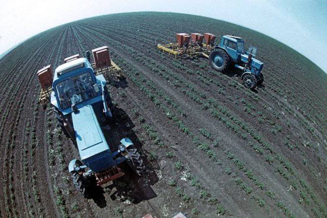 Сельскохозяйственный сектор несёт потери