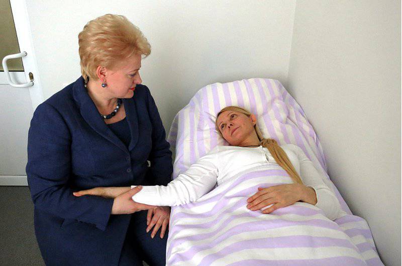 В 2012 году литовская президентша навестила в больнице Ю. Тимошенко (с сайта zn.ua)
