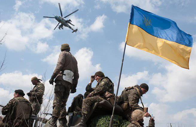 Командир батальона «Азов»: Командование украинской армии передает информацию ополчению