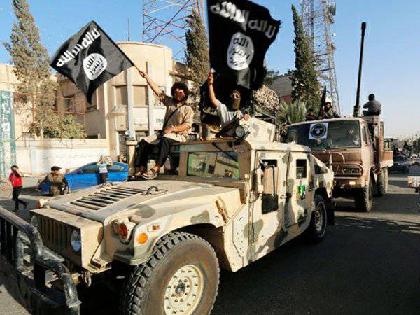 Чем воюет «Исламское государство» и почему его не победить авиаударами