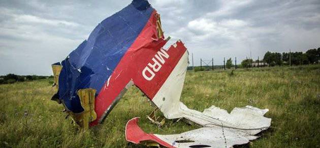 Киев опровергает выводы немецкой разведки о том, кто виновен в крушении "Боинга-777" под Донецком