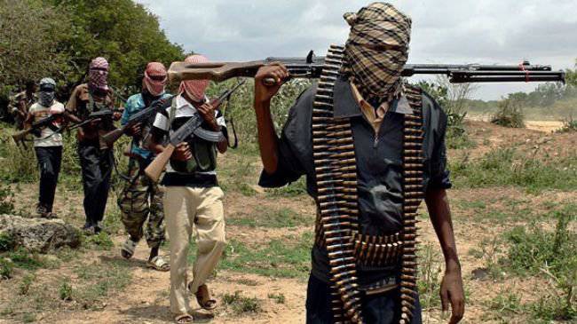 Нигерия готовится закупать российское оружие для противостояния "Боко Харам"
