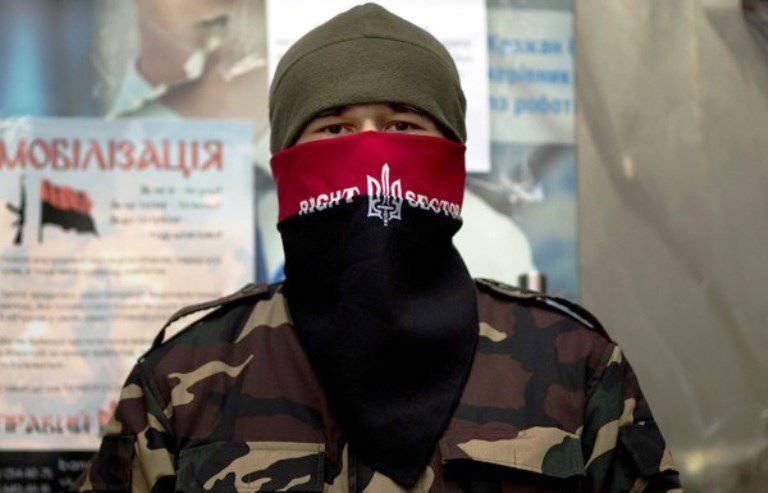 «Правый сектор» призвал силовиков отказаться от открытых боевых действий и перейти к диверсионной войне в Донбассе и Крыму
