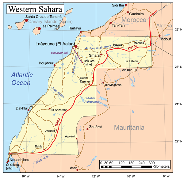 Непокоренная Сахара. Судьба «частично признанной» республики