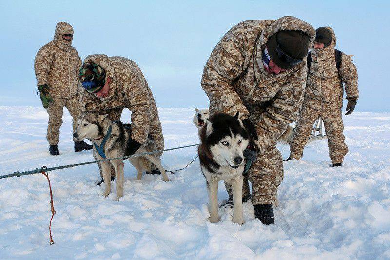 Впервые в условиях Северного полюса подразделение ВДВ совершает многокилометровый марш на собачьих упряжках