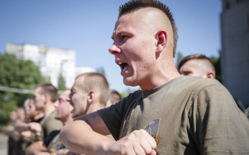 В американском издании задались вопросом: "А если Америка на Украине обучает воевать неонацистов?"