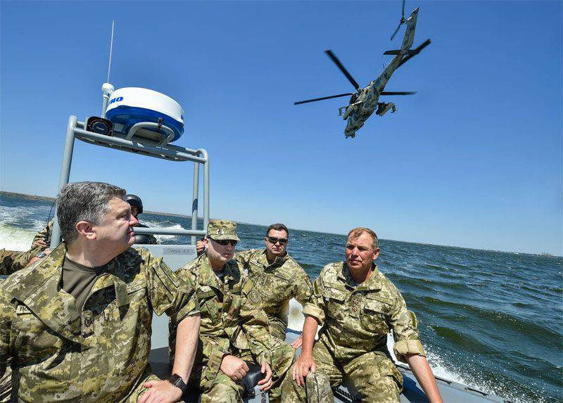 Порошенко следит за ходом учений ВМС Украины в Бугском лимане