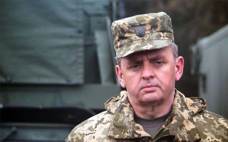 Виктору Муженко в Тбилиси пообещали, что грузинские военные поделятся "боевым опытом" с бойцами армии Украины