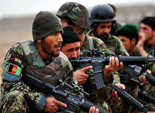 Минобороны Афганистана: за минувшие сутки афганская армия уничтожила 197 боевиков