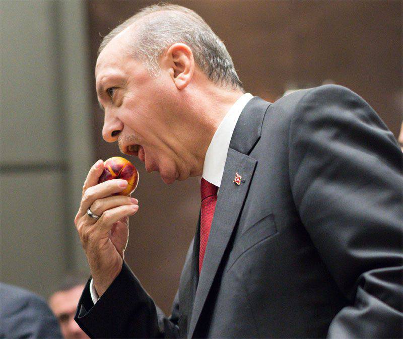 Эрдоган заявил, что Турция не будет "раздувать инцидент" (с Су-24), но продолжит защищать права "братьев"