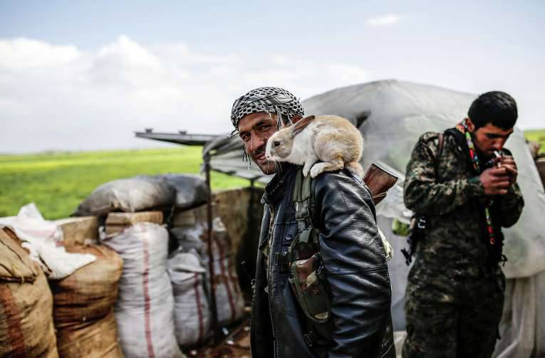 Северные кантоны сирийских курдов могут заявить о федерализации