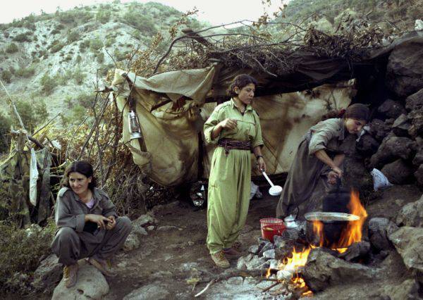 Иранские курды: история и современность