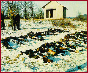 Убитые в Госпиче сербы