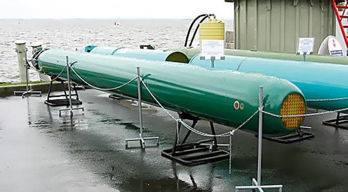Перспективная торпеда «Футляр» проходит государственные испытания