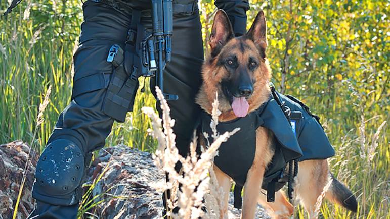 «Армоком» начал серийные поставки в российские спецслужбы бронежилетов для служебных собак