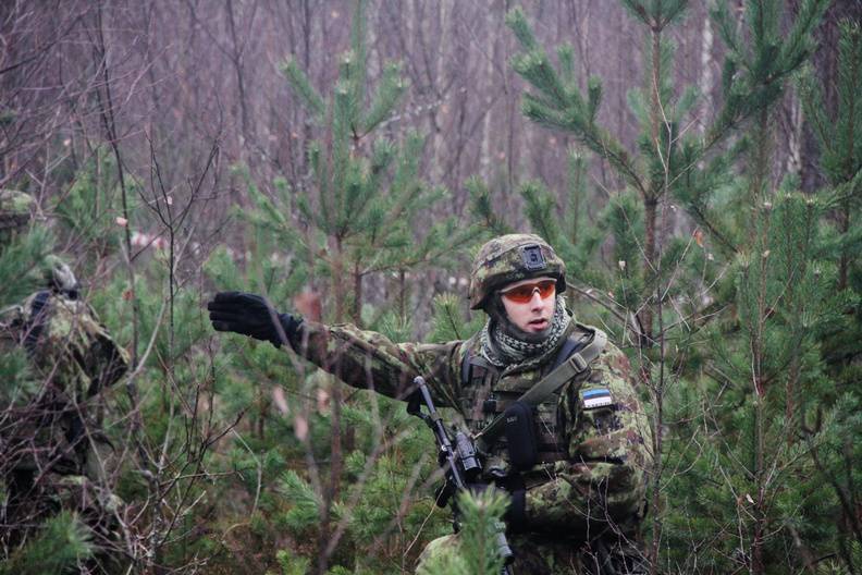 Прибалтике посоветовали готовиться к партизанской войне против "российской армии"