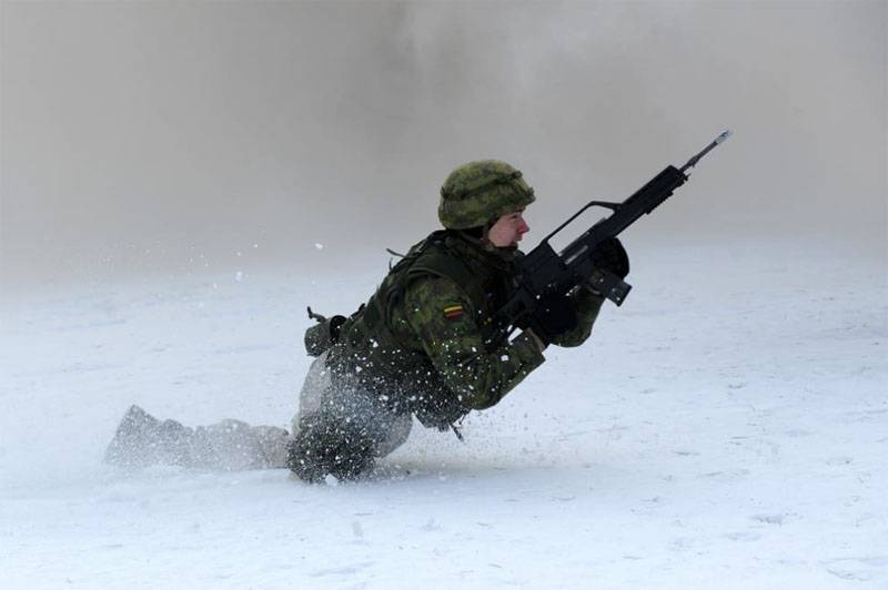 Литовская армия готова участвовать в военных операциях объединённых сил ЕС