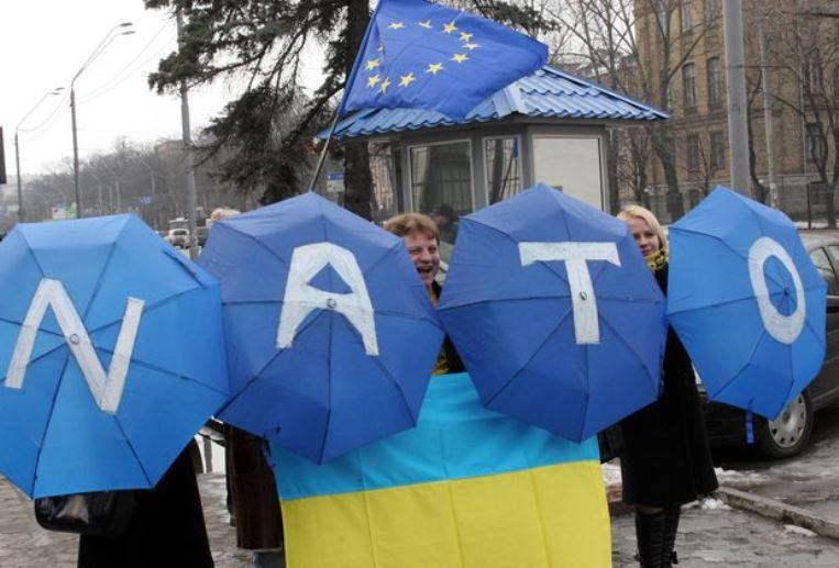 НАТО не рассматривает вопрос о принятии в свои ряды Украины