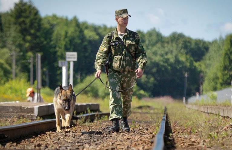 Наблюдатели ОБСЕ пожаловались на украинских пограничников, спустивших на них собак