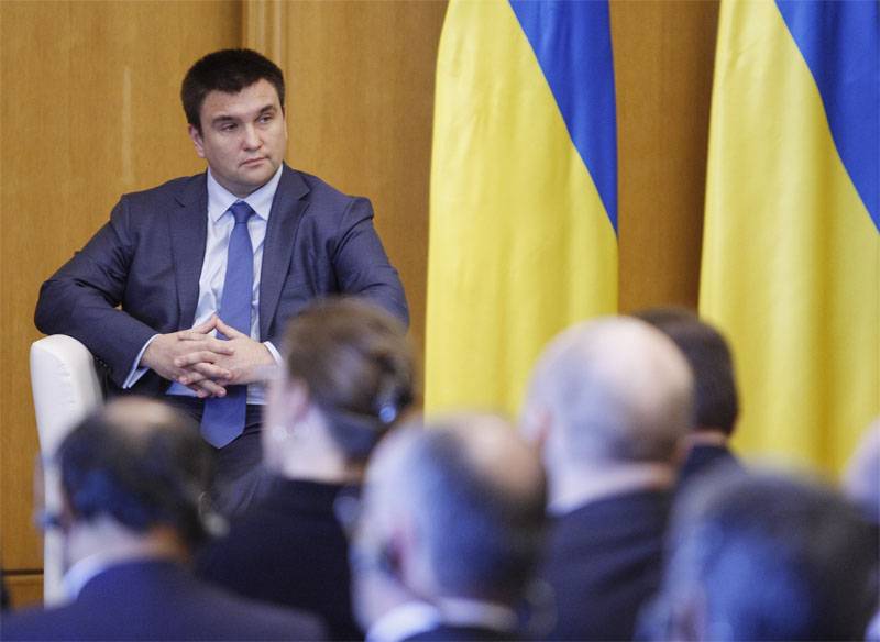Климкин: Украинский закон "Об образовании" не ущемляет языки ЕС