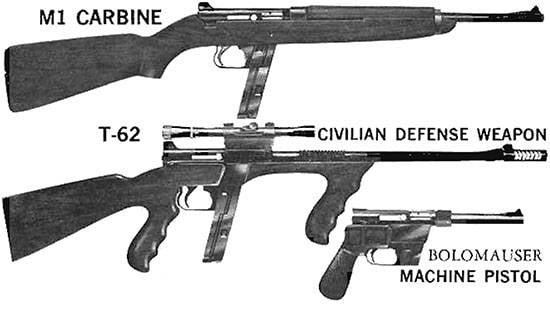 Самозарядная винтовка ArmaLite AR-7 Explorer (США)