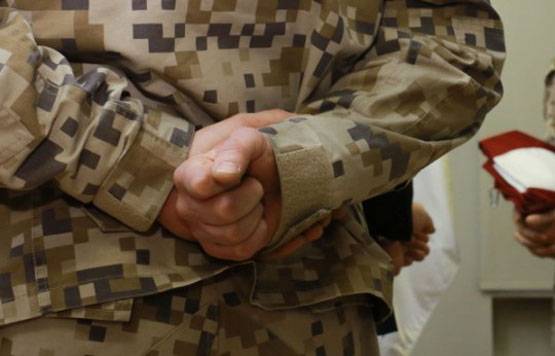 Командующий ВС Латвии: Структура нашей армии уже устарела