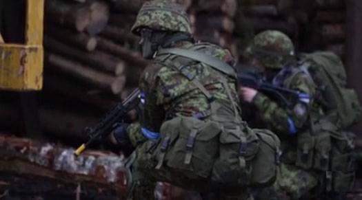 Эстонские солдаты отказались петь песню "лесных братьев" о героизации убийц русских