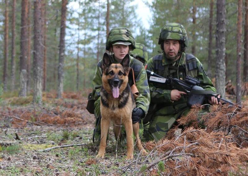 Швеция готовится партизанить против России