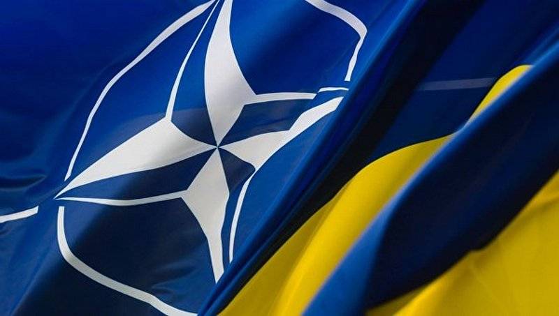 Рада одобрила стремление Украины в НАТО. А НАТО одобрило?