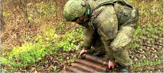 В Ленинградской области поисковики обнаружили минное поле