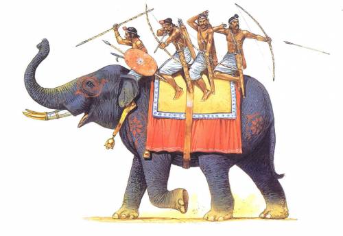 индийский боевой слон