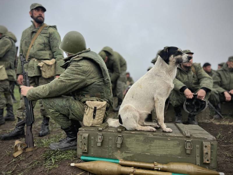 Сформированный в ДНР батальон, в состав которого вошли бывшие военнопленные ВСУ, готов к отправке на фронт