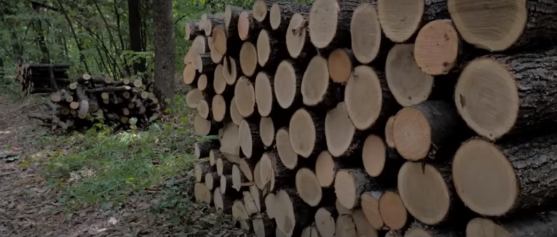 В Молдавии заявили, что Евросоюз помогает обеспечить местные семьи дровами