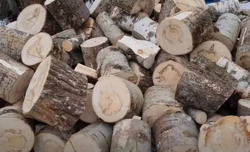 Днепропетровский горсовет согласился на предложение мэрии российского города об обмене снесённых памятников на дрова