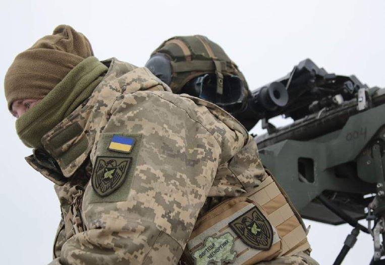 Замгоссекретаря США Нуланд пообещала сформировать на Украине «вооруженные силы будущего» для сдерживания России после конфликта