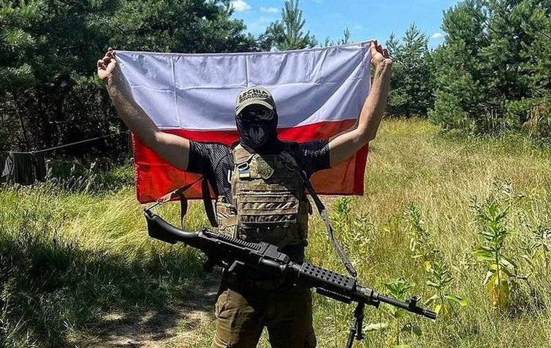 На Украине началось формирование первого польского подразделения, официально входящего в структуру ВСУ