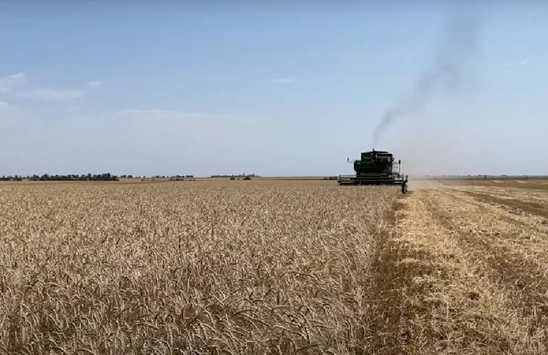 Премьер-министр Польши выступил за ограничение количества отправляемого в Евросоюз украинского зерна