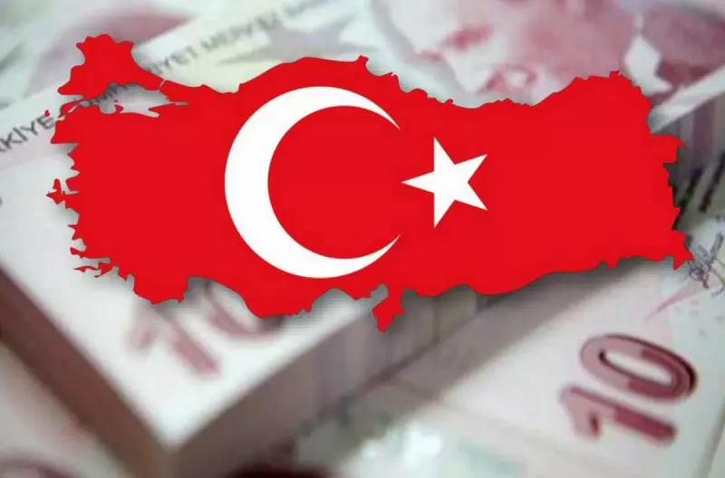 Некоторые особенности турецкой экономической модели или Почему рано хоронить турецкую лиру